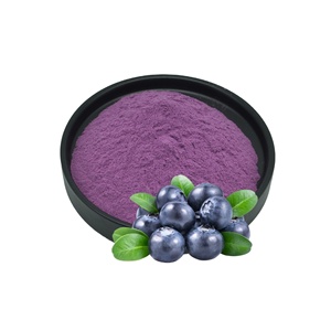 Polvere di mirtillo liofilizzata all'ingrosso di qualità biologica di frutta di mirtillo Premium dalla cina