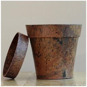 กระถางปลูกต้นไม้จากใยมะพร้าวธรรมชาติ 100% ยี่ห้อ YAMUNA เป็นมิตรต่อสิ่งแวดล้อม (ย่อยสลายได้) ขนาด 5 นิ้ว อายุการเก็บรักษา 2 ปี สำหรับทำสวน - Product Image 6