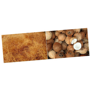 Fibres de noix de coco écologiques et durables en vrac à vendre - Product Image 1