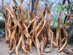 THANH TUNG THINH CO. LTD Ornement d'aquarium en bois flotté naturel, forme irrégulière, écologique et durable, origine Binh Thuan - Product Image 4