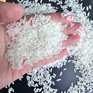 Riz blanc Calrose du Vietnam, grain moyen, 5% de brisures, fournisseur en gros, OEM, marque privée, emballage de détail, export FOB HCM/ ANNA - Product Image 2