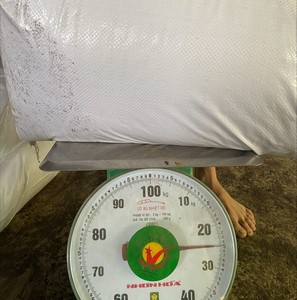 COMPOST NATUREL DE VERS DE TERRE UTILISÉ EN JARDINAGE AGRICOLE BIOLOGIQUE ÉLIMINER LA MATIÈRE BIOLOGIQUE ORIGINE DU VIETNAM - Product Image 3