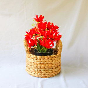 Panier de rangement tressé à la main AKASA D15 en jonc de mer, couvercle de pot de plante décoratif, organisateur en osier naturel, panier à linge, cadeau de pendaison de crémaillère - Product Image 3