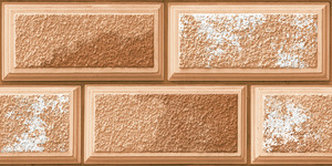 Azulejos de pared de primera calidad Asia Tiles Elevation Tiles de 300x600 mm para villas de lujo. - Product Image 4