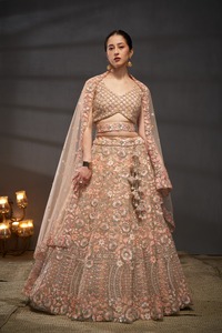 Indian Bridal Wear Velvet Collections for Bride with Zarkhan <b>Work</b> by Fabzone Model FZBELLA - Product Image 5