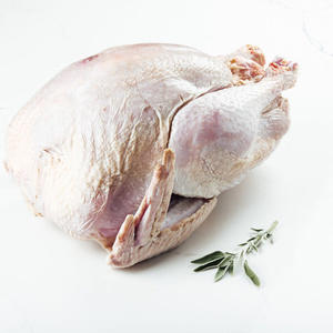 Dinde entière congelée de qualité supérieure, tendre et juteuse, pour l'exportation et les marchés de gros - Product Image 3