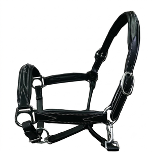 Harnais de cheval en cuir rembourré confortable avec surpiqûres contrastées fantaisie et double quincaillerie réglable en laiton nickelé, toutes tailles - Product Image 1