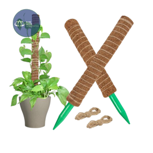 Poste de Musgo de Coco Ecológico y Sostenible – Suministro de Postes Totem de Coco Natural - Product Image 2