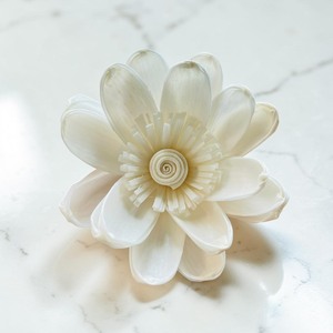 VADEE SOLA WOOD FLOWER Ocean Teal Garden Rose <b>Diffuser</b> Sola Wood Flowers Sustainable Craft Handmade Sesbania <b>Reed</b> Home Fragrance - Product Image 5