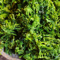 ULVA LACTUCA (Laitue de mer) 100% pure séchée - Sacs de 25 kg prêts à l'emploi - Fournisseur fiable du Vietnam