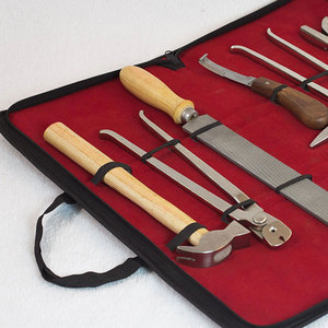 Fournisseur de kits de ferrage de haute qualité, outils professionnels pour l'entretien des sabots de chevaux, ensemble d'équipement en acier de qualité supérieure - Product Image 4