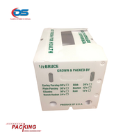 DAT THUAN PP Plastique Ondulé Gingembre Feuille Fruits Légumes Emballage Cartonplast Boîtes Brocoli Raisins Emballage Emballage Alimentaire