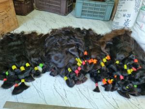 Cheveux bouclés naturels de 100% vierges d'Indien Remy de prolongements crus dessinés simples de cheveux - Product Image 6