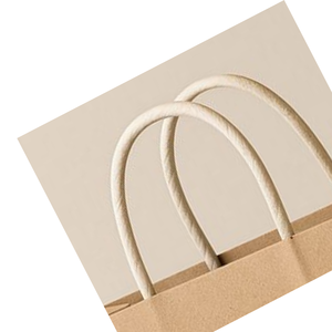 Bolsa de Regalo Ecológica de Papel Kraft para Compras con Diseño de Hoja en Relieve y Símbolo de Reciclaje - Product Image 3