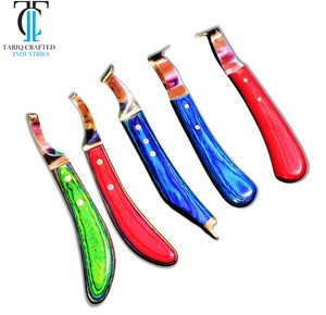 Cuchillo para Pezuñas de Caballo, Acero Inoxidable, Herramienta Profesional para Recortar Pezuñas, Fabricante de Equipo Veterinario - Product Image 4