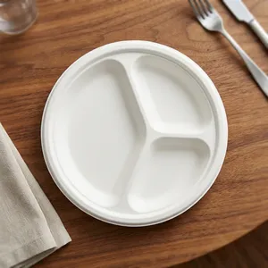 Superior Quality 3CP Square <b>Pulp</b> Moulded Disposable Plate Sustainable Eco Friendly Tableware for Food Packaging Applications - Product Image 1