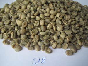 DHPONE Export Standard Processus Lavé Vietnamien Qualité Arabica Lam Dong Grains De Café Vert Haricots Bruts En Gros + 84 969 615 235 - Product Image 3