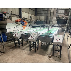 Convoyeur de tri automatique de noix de cajou TTQ 6m avec bande transporteuse de qualité alimentaire, capacité de 1000 kg, 380V/220V pour ligne de transformation agricole - Product Image 1