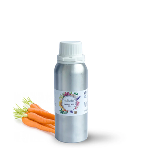 Aceite Esencial de Semilla de Zanahoria |   Proveedor al por Mayor de Aceite de Daucus Carota Premium, Fabricante de Marca Privada OEM - Product Image 3