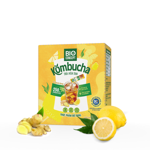 Productos OEM, Kombucha Instantánea con Sabor a Limón y Jengibre, Grado Alimenticio, Polvo de Té Instantáneo de Jengibre y Limón, Caja de Papel Dúplex, Bebidas de Té - Product Image 1
