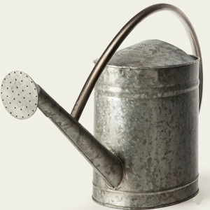 High-Quality Steel Watering Can With Long Spout And Removable Rosehead For Decorative Home <b>Gardening</b> Indoor And Outdoor Plants - Product Image 6
