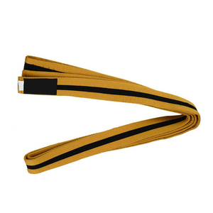Lightweight Karate <b>Belts</b> Pakistan With Custom Embroidery And Private Label Packaging Service Premium Martial Arts <b>Belts</b> - Product Image 4