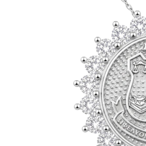 Pendentif en alliage AKA Shield pour femme, élégant, couleur argent, breloque écusson de sororité, bijou, collier, accessoire, chaîne, cadeau - Product Image 4