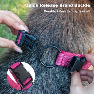 Ensemble collier et laisse pour chien, laisse rétractable pour chien et fabricants de laisses pour chien - Product Image 3