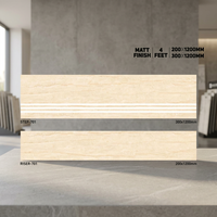 Carreaux de marche en porcelaine Vistaar, finition mate, design bois, antidérapants, pour intérieur, 300x1200/1200x200, épaisseur 11 mm