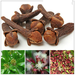 Clavo de Olor Seco Seleccionado a Mano 2025, Especia de Alta Calidad, Precio al por Mayor Disponible, Proveedor de Vietnam - Product Image 2