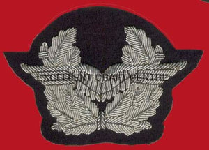 Insignia Bordada Personalizada GERMAN EAGLE-660 con Ancla y Corona de Laurel, Parche de Tela Cosido para Uniforme - Product Image 6