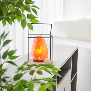 IMPEX Lámpara de Sal Rosa del Himalaya Tallada a Mano de Alta Calidad para Decoración del Hogar con Regulador de Intensidad Tacto Real Novedad Personalizada - Product Image 3
