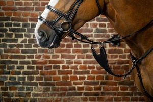Équipement équestre en cuir de qualité supérieure : Bretelles de selle rigides avec fixation martingale et boucles à roulettes réglables – Produit équin - Product Image 3