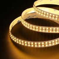 Bande lumineuse LED galvanisée à double rangée 24V 240 LED Lampes à bande LED intelligentes personnalisables Éclairages d'armoire extérieurs
