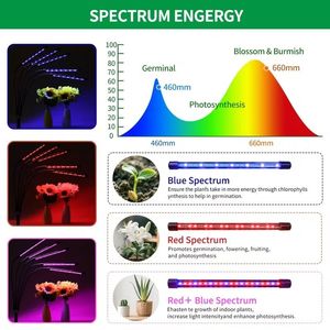Lampada da Terra Regolabile per Coltivazione Indoor con Luce a Spettro Completo 80 LED, 5 Livelli di Regolazione (20%-100%), Timer 3/9/12 Ore - Product Image 5