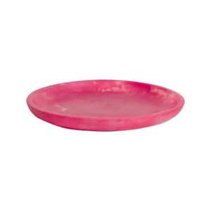 Plat de service décoratif classique en résine polie à motif dinosaure personnalisé, écologique et durable, pour la maison - Product Image 2