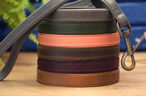 Laisse pour chien en cuir personnalisée avec poignée, jolies laisses pour chien en cuir avec nom, laisses pour chiot personnalisées - Product Image 4