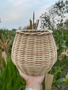 Maceta Artesanal de Mimbre y Ratán, Ideal para Exhibir Plantas y Decoración Natural del Hogar, Jardinería Interior, Hecha en India - Product Image 5