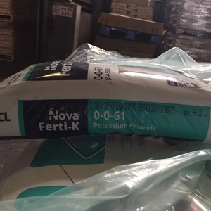 Nouvelle arrivée de haute qualité en poudre de chlorure de potassium israël KCL - Product Image 1