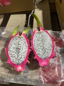 Dragon <span class=keywords><strong>fruit</strong></span> blanc naturel frais, qualité export standard OEM, goût doux et rafraîchissant, 100% ODM - Product Image 2