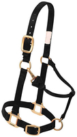 Bridon d'équitation en nylon de qualité supérieure, respirant, personnalisable (couleur et logo), pour l'endurance et la course