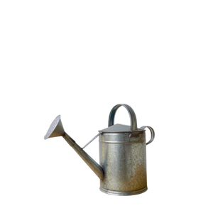 Arrosoir nordique en zinc galvanisé pour jardinage, soin des plantes d'intérieur et d'extérieur, arrosoirs durables, porte-fleurs vintage - Product Image 1