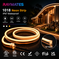 RAYMATSE Prix d'usine pour bande lumineuse LED IP67 étanche, bande lumineuse LED néon 1018, bande lumineuse en silicone à émission horizontale