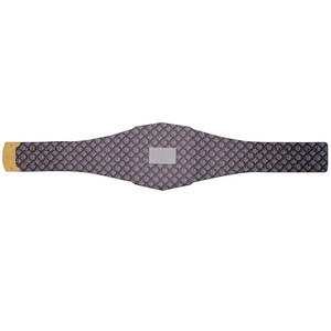 Réplica del Cinturón de Campeonato de los Raiders de Las Vegas - Product Image 4