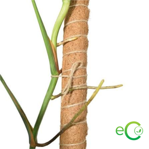 Mejor Precio: Poste de Fibra de Coco Natural para Soporte de Plantas – Poste de Coco Ecológico DIY de ECO2GO VIETNAM - Product Image 4