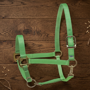 Harnais de cheval en sangle durable, style simple, ajustement confortable, plusieurs couleurs et tailles personnalisées, harnais de course en nylon pour chevaux - Product Image 3