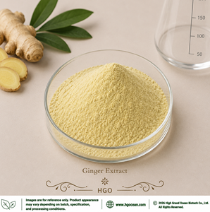 Suministro Directo de Fábrica HGO, Extracto de Jengibre (Zingiber officinale Roscoe) (Grado Alimenticio) Relación 4:1 5:1 10:1 20:1 100:1 200:1 - Product Image 1