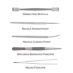 ORIENTMED - Bisturí Quirúrgico Desechable, Estéril, de Acero Inoxidable, con Mango Manual # 10- # 26 Por Surgiright - Product Image 5