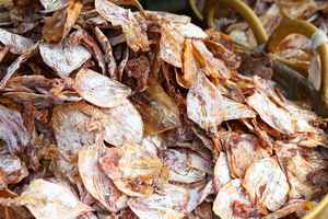 BULK PRICE <b>DRIED</b> <b>SQUID</b> / PREMIUM GRADE DEHYDRATED <b>SQUID</b> CALAMARI FOR FOOD INDUSTRY - Product Image 5