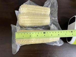 เมล็ดข้าวโพดหวานแช่แข็งสำหรับต้ม & บรรจุขายปลีกข้าวโพดเหนียวแช่แข็งทำจากกระบวนการ Iqf ข้าวโพดหวานแช่แข็งจากเวียดนาม - Product Image 6